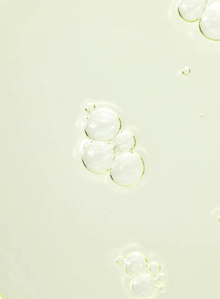 Beauty of Joseon Calming Serum Green Tea + Panthenol
